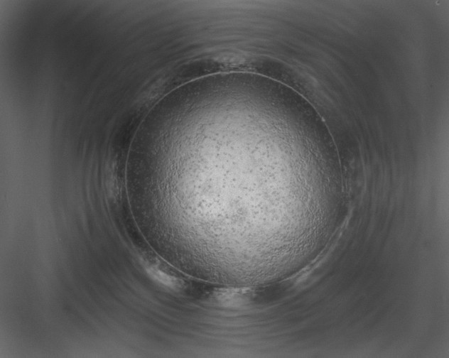 X0000083980136200702232054