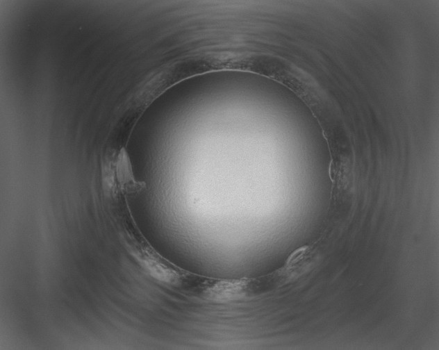 X0000083980138200702232054