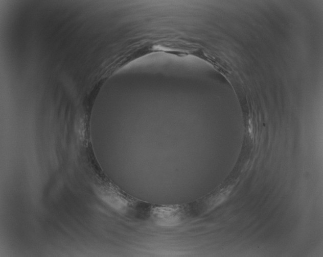X0000083980139200702232054