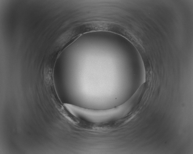 X0000083980141200702232054