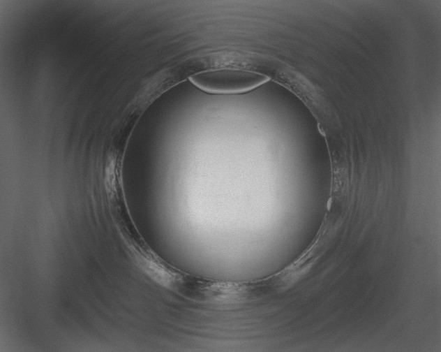 X0000083980142200702232054