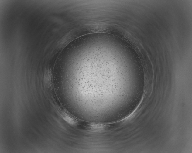 X0000083980144200702232054