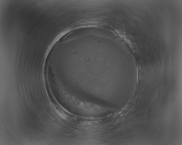 X0000083980147200702232053