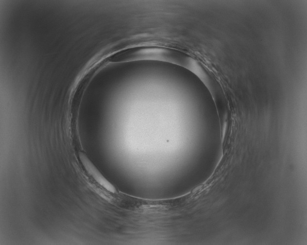 X0000083980150200702232053