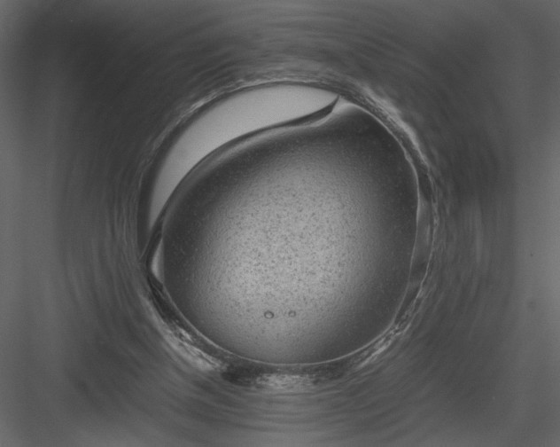 X0000083980154200702232054