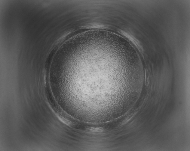 X0000083980157200702232054