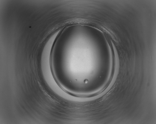 X0000083980158200702232054