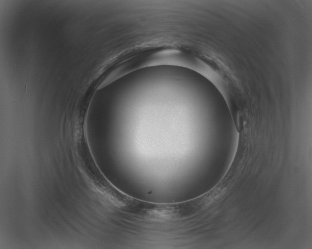 X0000083980164200702232054