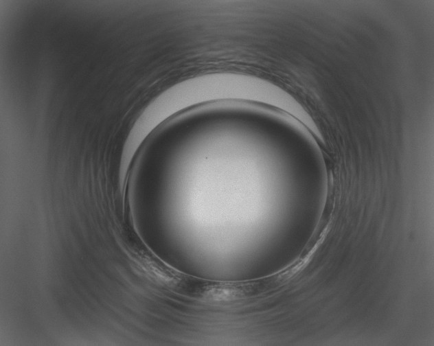 X0000083980174200702232054