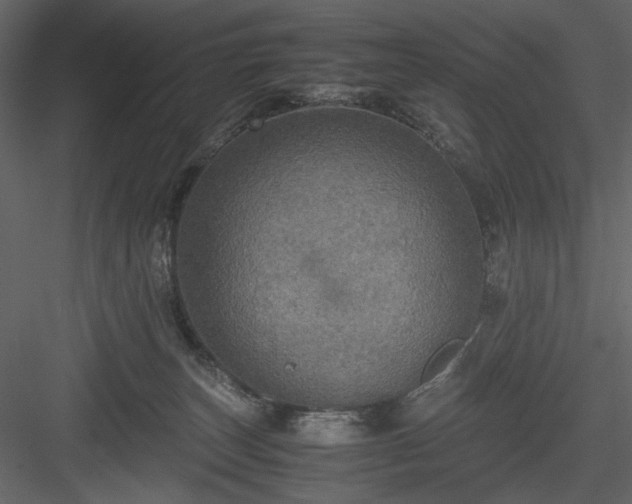 X0000083980179200702232054