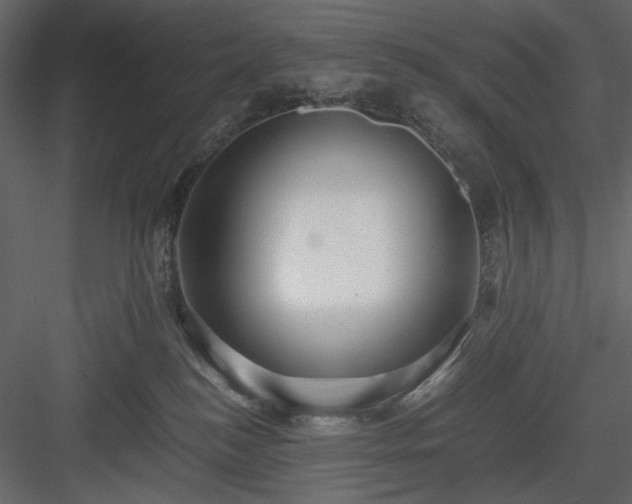 X0000083980184200702232054