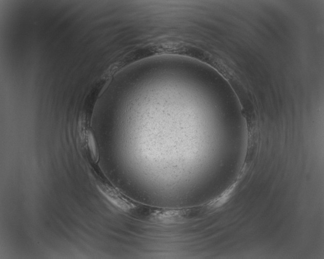 X0000083980186200702232054