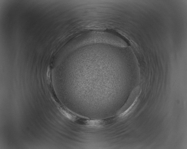 X0000083980192200702232054