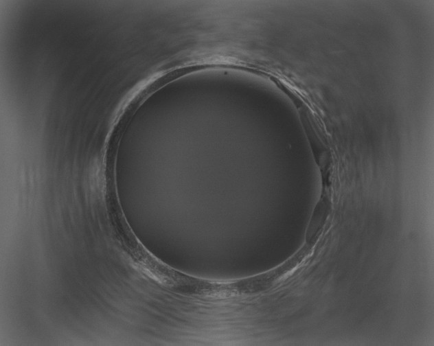 X0000083980200200702232053