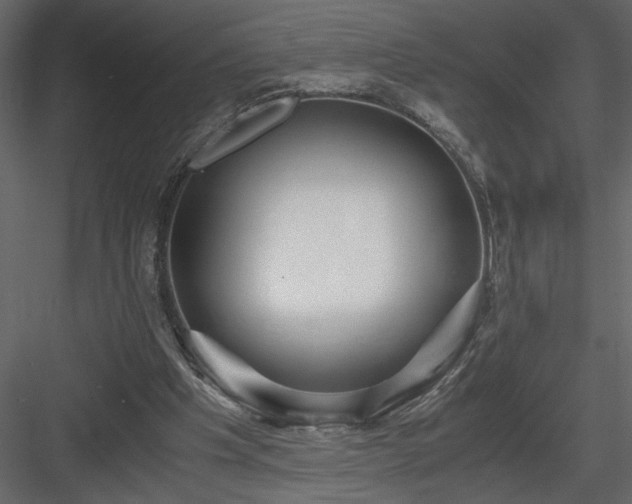 X0000083980201200702232053