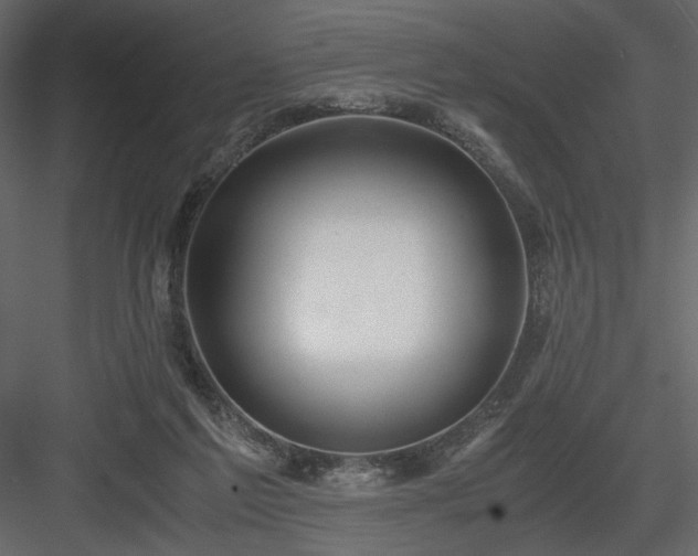 X0000083980213200702232053