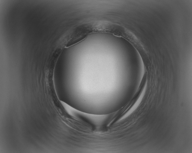 X0000083980217200702232053