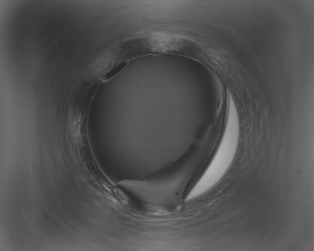 X0000083980219200702232053