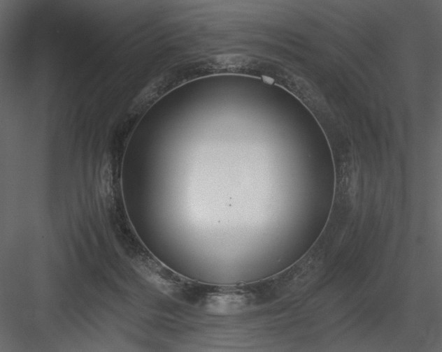 X0000083980220200702232053