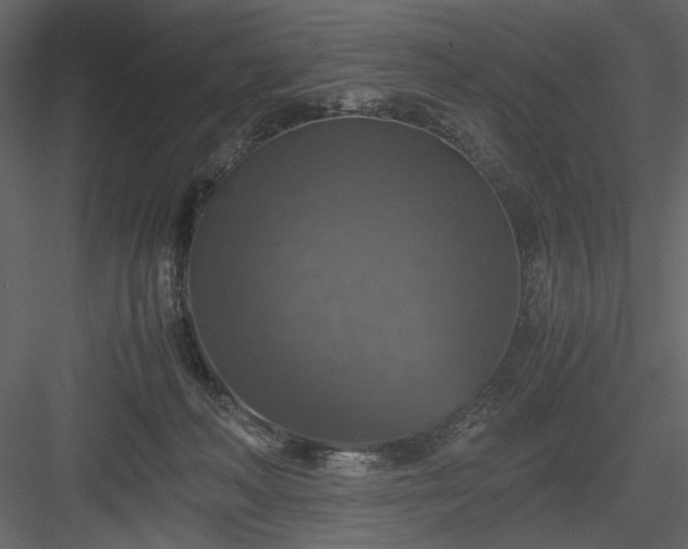 X0000083980222200702232053