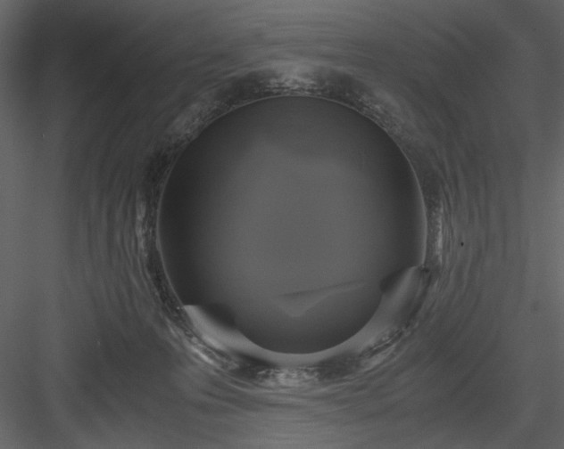 X0000083980223200702232053