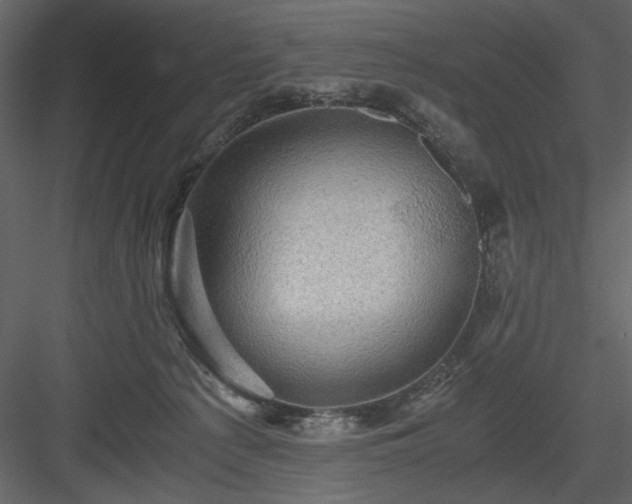 X0000083980225200702232053