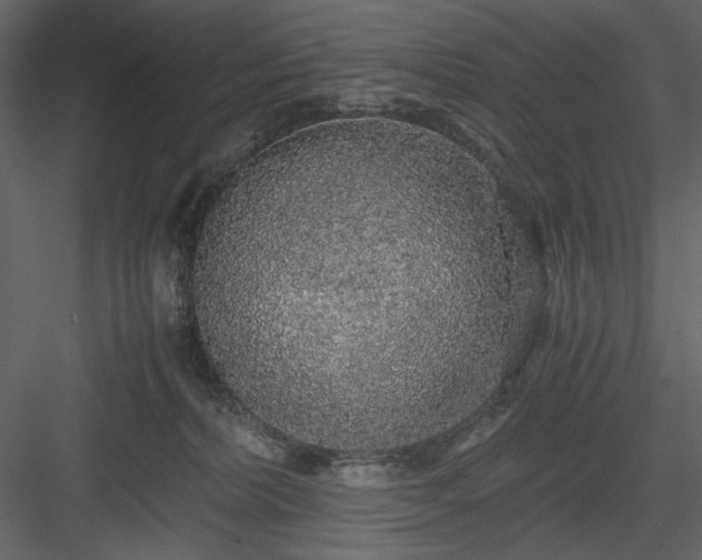 X0000083980228200702232053
