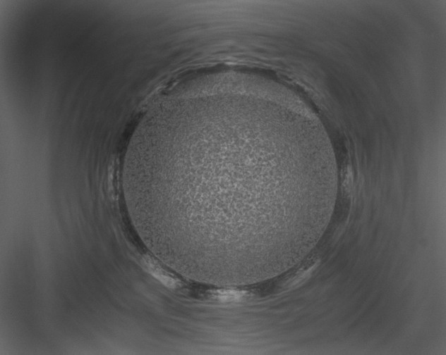 X0000083980233200702232053