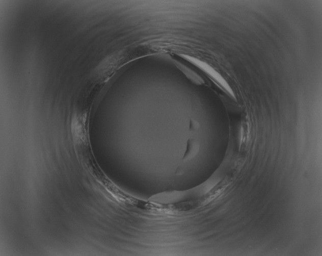 X0000083980239200702232053