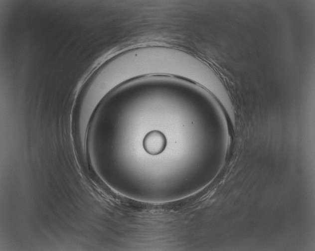 X0000083980244200702232052