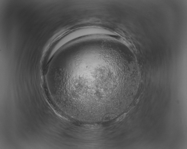 X0000083980245200702232052