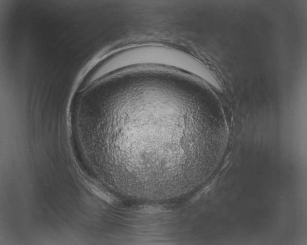 X0000083980246200702232052