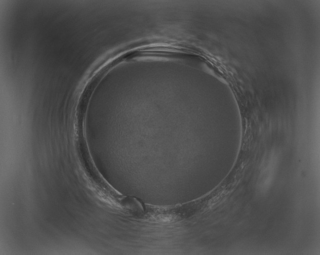 X0000083980247200702232052