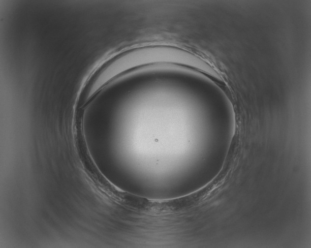 X0000083980248200702232052