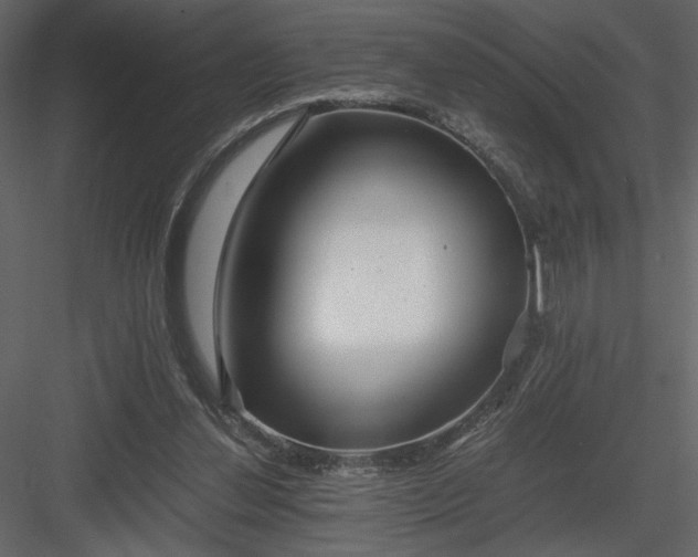 X0000083980252200702232052
