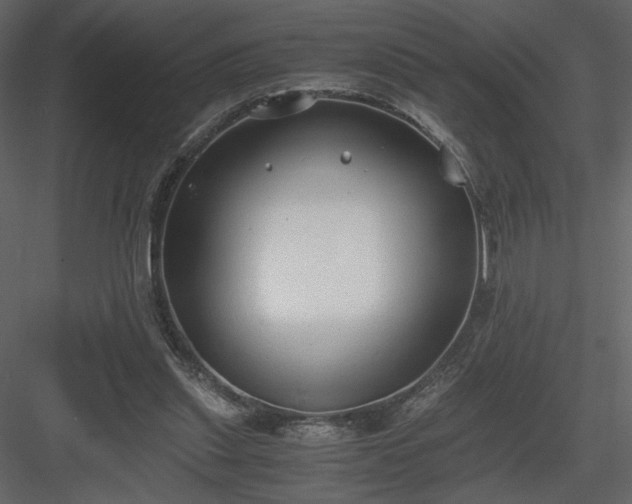 X0000083980253200702232052
