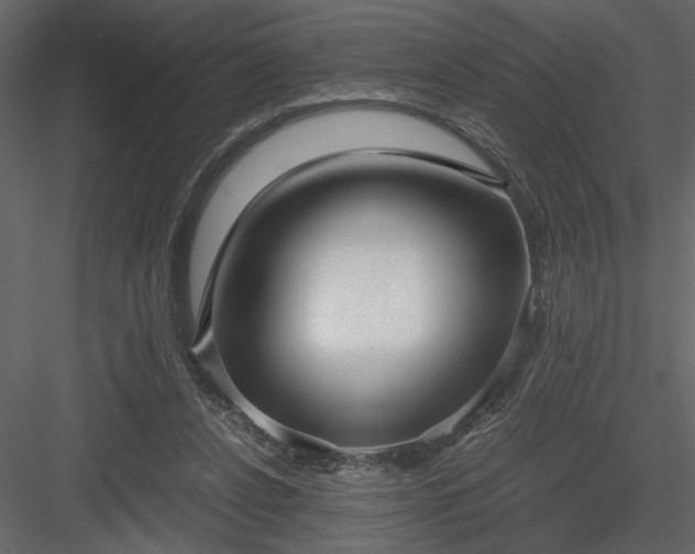 X0000083980256200702232052