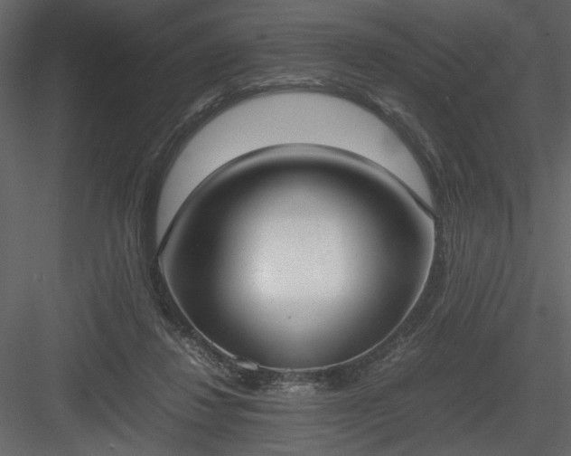 X0000083980260200702232052