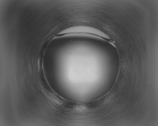 X0000083980262200702232052