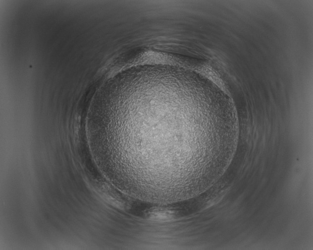 X0000083980263200702232052