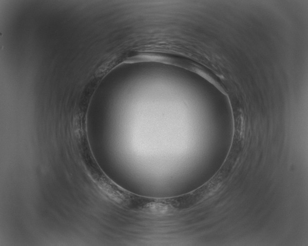 X0000083980272200702232052