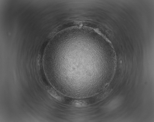 X0000083980275200702232052