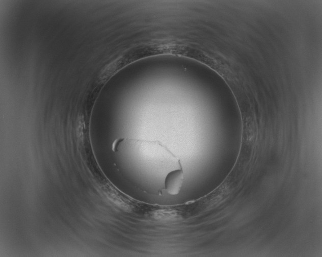 X0000083980279200702232052