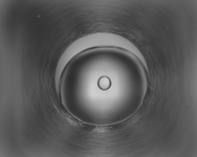 X0000083980280200702232052