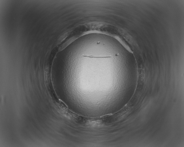 X0000083980283200702232052