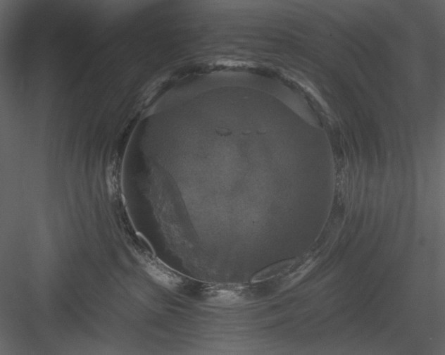 X0000083980285200702232053