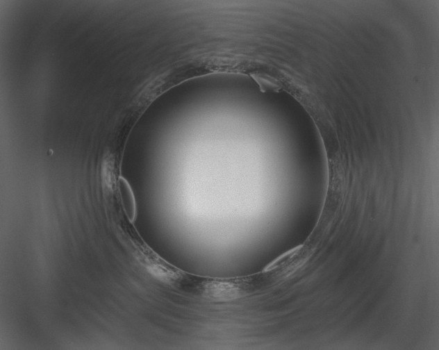 X0000083980287200702232053