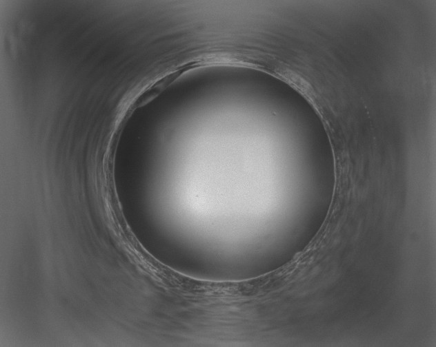 X0000083980289200702232052