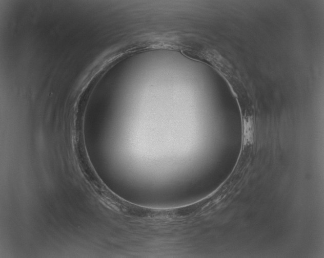 X0000083980291200702232052
