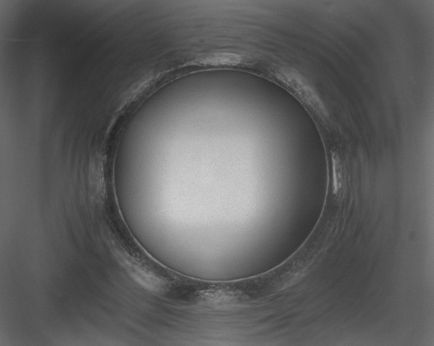 X0000083980300200702232052